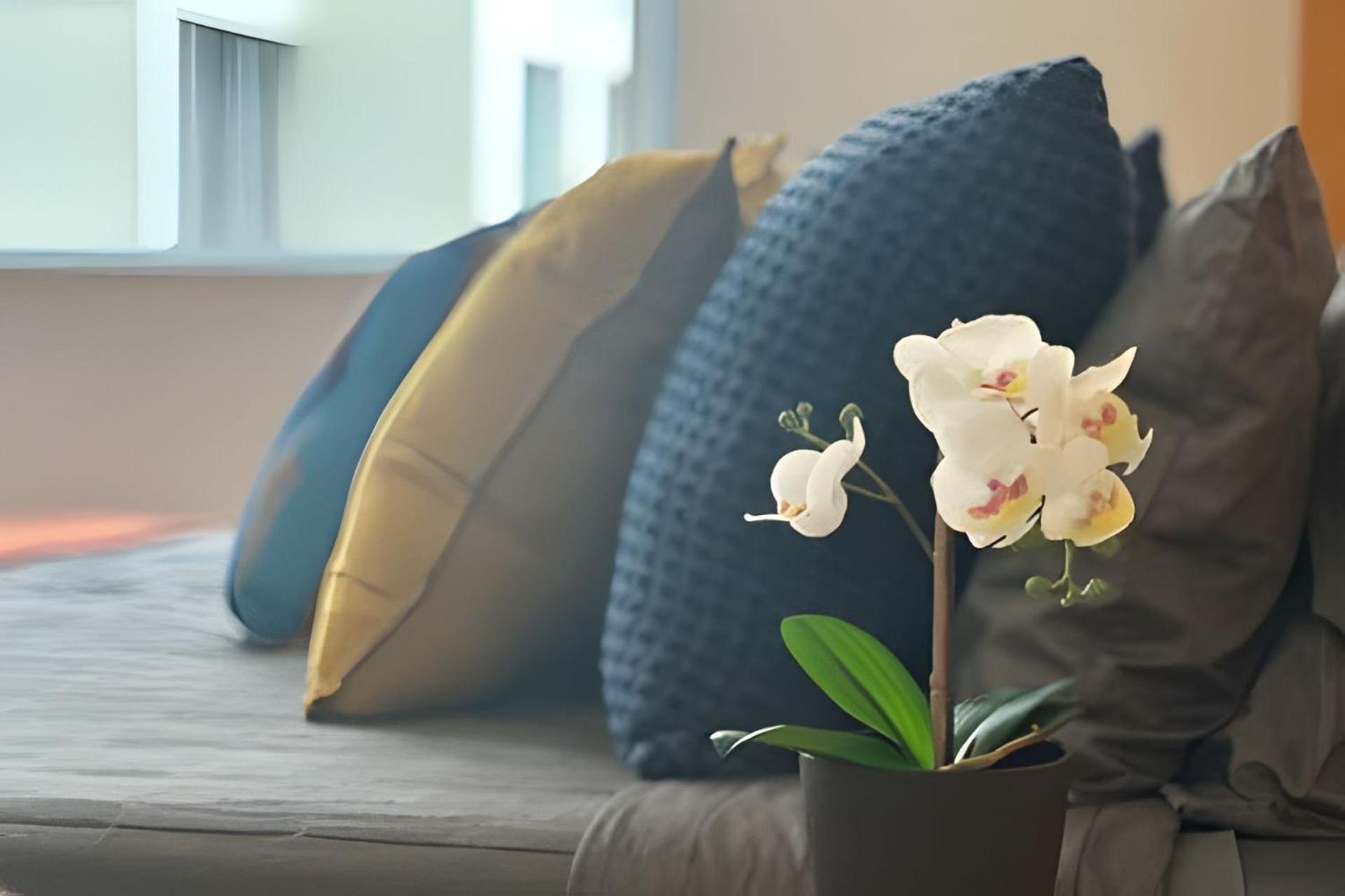 Studio Novo, Chic Perto Da Praia Em Copa Para 4 Apartment Rio de Janeiro Ngoại thất bức ảnh